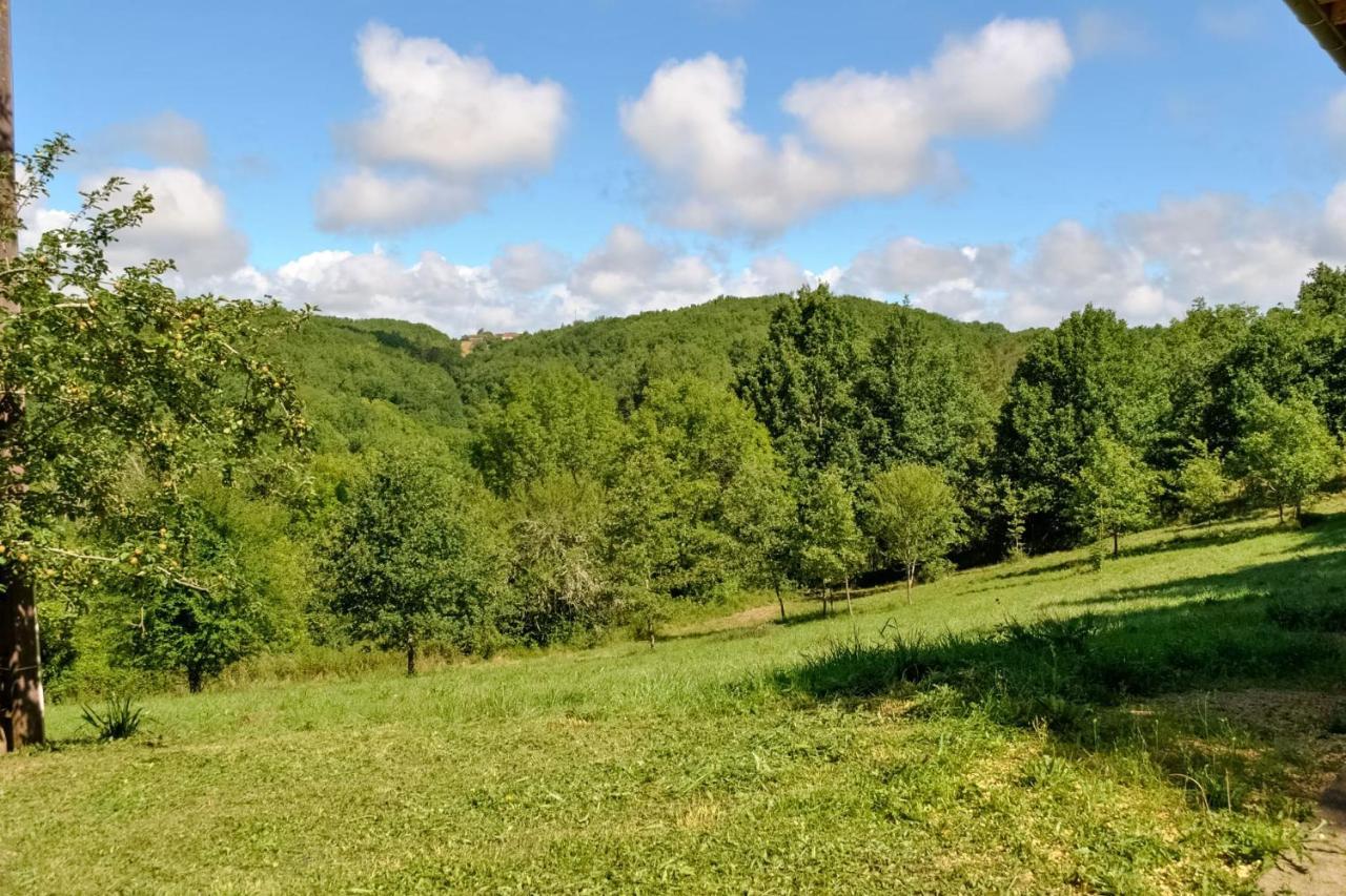 Ancienne Sechoir A Tabac Idealement Place A Limeuil Pour 4 Dans La Nature Vila Exterior foto